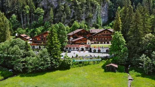 RELAIS & CHÂTEAUX WALDHOTEL DOLDENHORN ****S