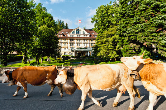 LE GRAND BELLEVUE GSTAAD *****S